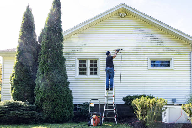 Best Roof Pressure Washing  in Oologah, OK